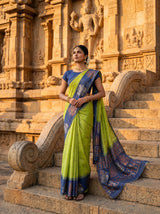 MIMOSA Olive Saree Saree — pose 5 styling detail