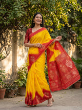 MIMOSA Saree Saree — pose 5 styling detail