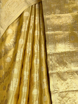 MIMOSA Saree Saree — fleets shot full lifestyle