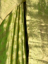 MIMOSA Saree Saree — fleets shot full lifestyle