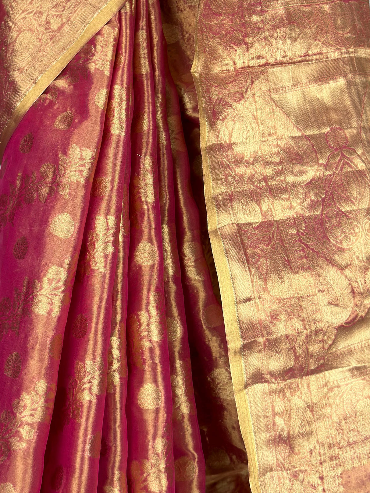 MIMOSA Saree Saree — fleets shot full lifestyle