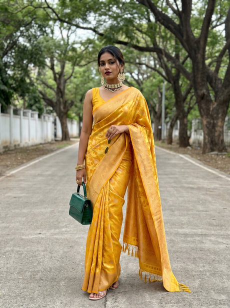 MIMOSA Saree Saree — front view on mannequin