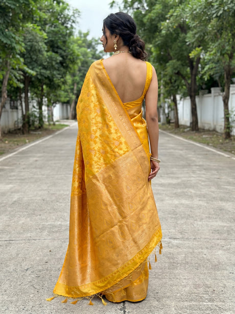 MIMOSA Saree Saree — pose 2 styling detail