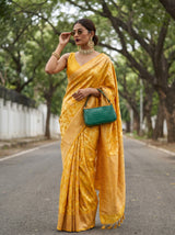MIMOSA Saree Saree — pose 4 styling detail