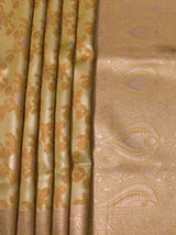 MIMOSA Saree Saree — fleets shot full lifestyle