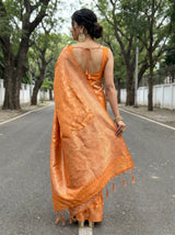 MIMOSA Saree Saree — pose 2 styling detail