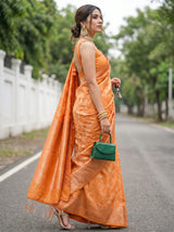 MIMOSA Saree Saree — pose 3 styling detail