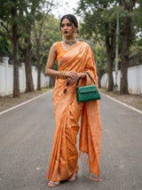 MIMOSA Saree Saree — pose 5 styling detail