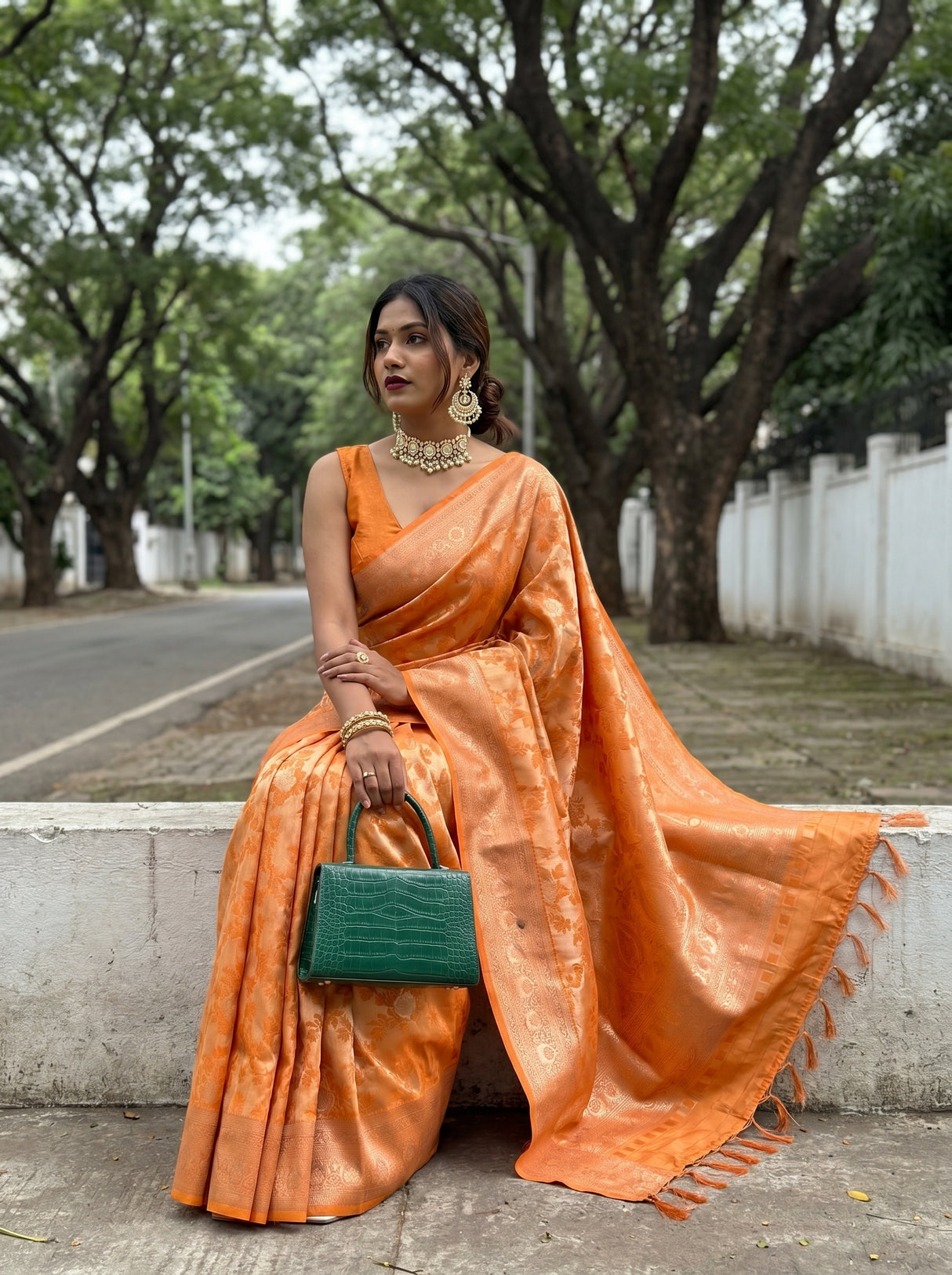 MIMOSA Saree Saree — pose 9 styling detail