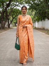 MIMOSA Saree Saree — front view on mannequin