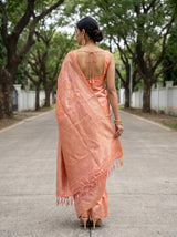 MIMOSA Saree Saree — pose 2 styling detail