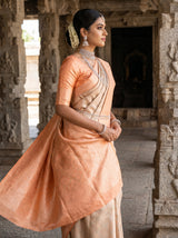 MIMOSA Chikoo Kanjivaram Art Silk Saree — Side View of Saree Drape