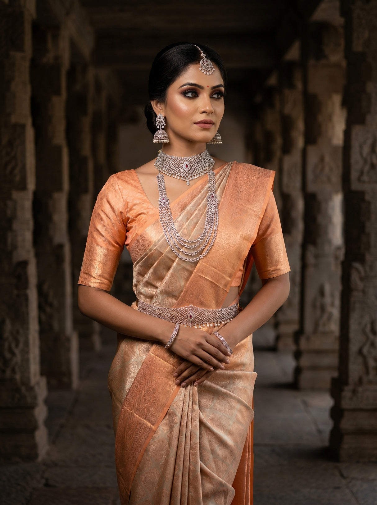 MIMOSA Chikoo Kanjivaram Art Silk Saree — Close-up of Saree Body and Pallu