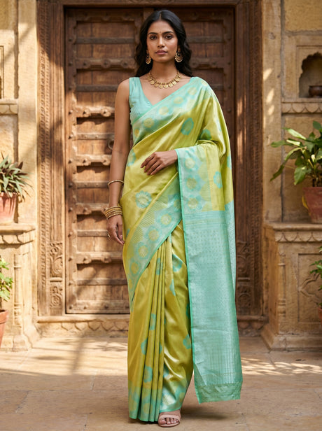 MIMOSA Saree Saree — front view on mannequin