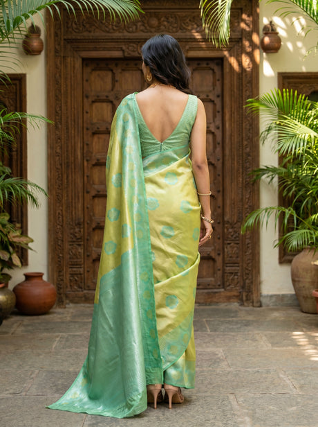 MIMOSA Saree Saree — pose 2 styling detail