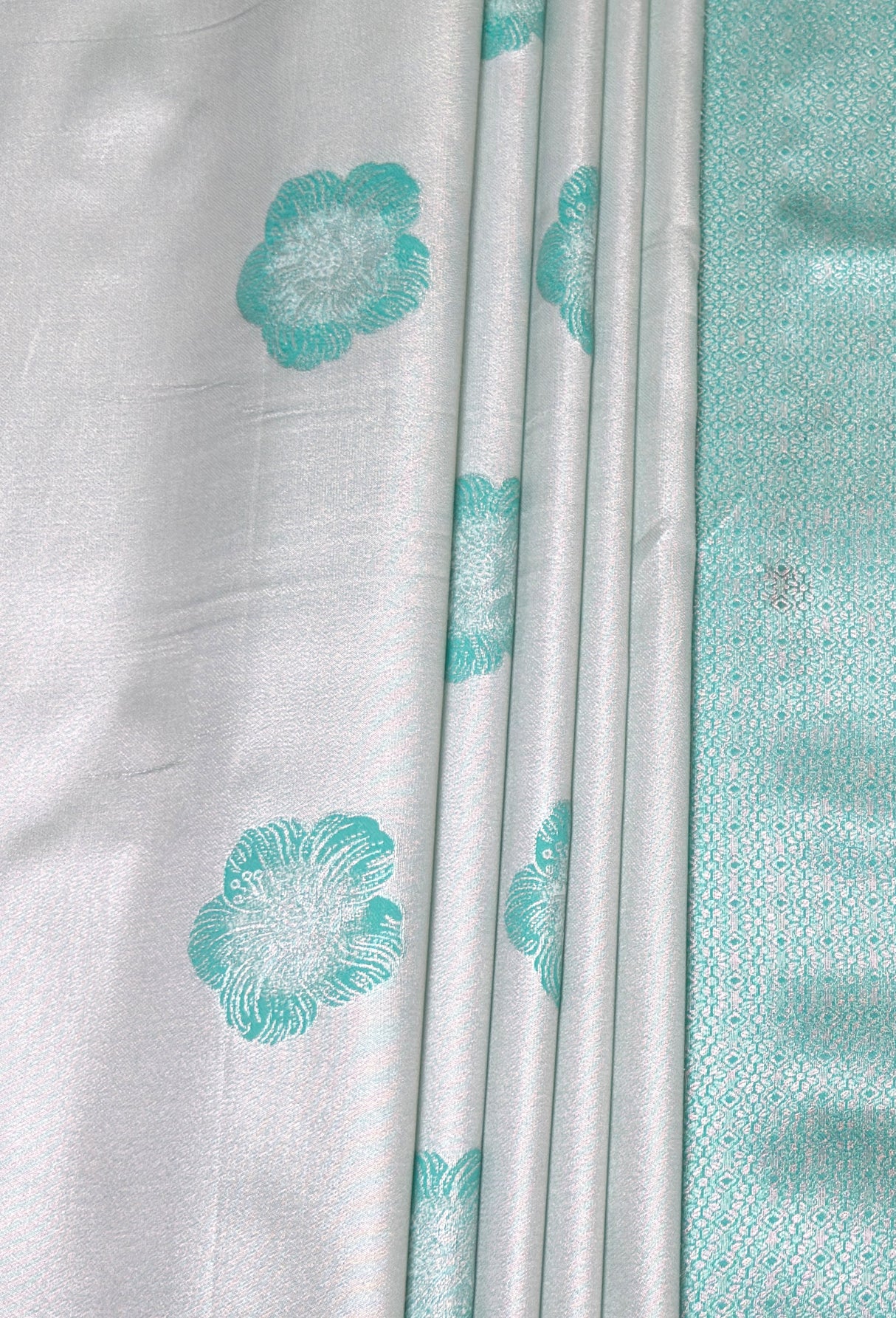 MIMOSA Saree Saree — fleets shot full lifestyle