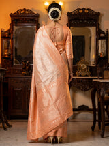 MIMOSA Chikoo Kanjivaram Art Silk Saree — close-up of the blouse and pallu