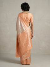 MIMOSA Chikoo Kanjivaram Art Silk Saree — Close-up of Face and Blouse