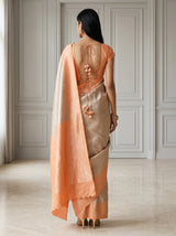 MIMOSA Chikoo Kanjivaram Art Silk Saree — pose 2 styling detail