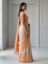 MIMOSA Chikoo Kanjivaram Art Silk Saree — pose 3 styling detail