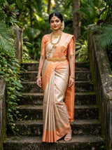 MIMOSA Chikoo Kanjivaram Art Silk Saree — Full View