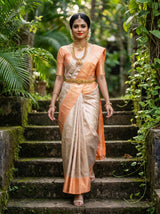 MIMOSA Chikoo Kanjivaram Art Silk Saree — Close-up of Body and Border