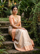 MIMOSA Chikoo Kanjivaram Art Silk Saree — Lower Body Drape Detail