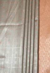 MIMOSA Chikoo Kanjivaram Art Silk Saree — fleets shot full lifestyle