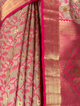 MIMOSA Saree Saree — fleets shot full lifestyle