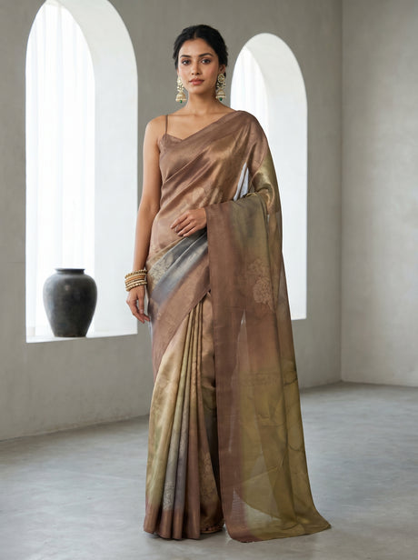 MIMOSA Chikoo Banarasi Art Silk Saree — Mannequin front view