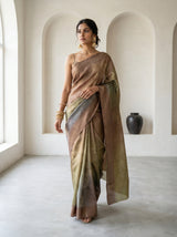 MIMOSA Chikoo Banarasi Art Silk Saree — pose 7 styling detail
