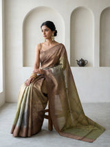 MIMOSA Chikoo Banarasi Art Silk Saree — pose 8 styling detail