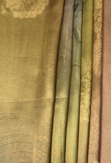 MIMOSA Chikoo Banarasi Art Silk Saree — fleets shot full lifestyle
