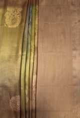 MIMOSA Chikoo Banarasi Art Silk Saree — pallu and zari work detail