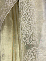 MIMOSA Saree Saree — fleets shot full lifestyle