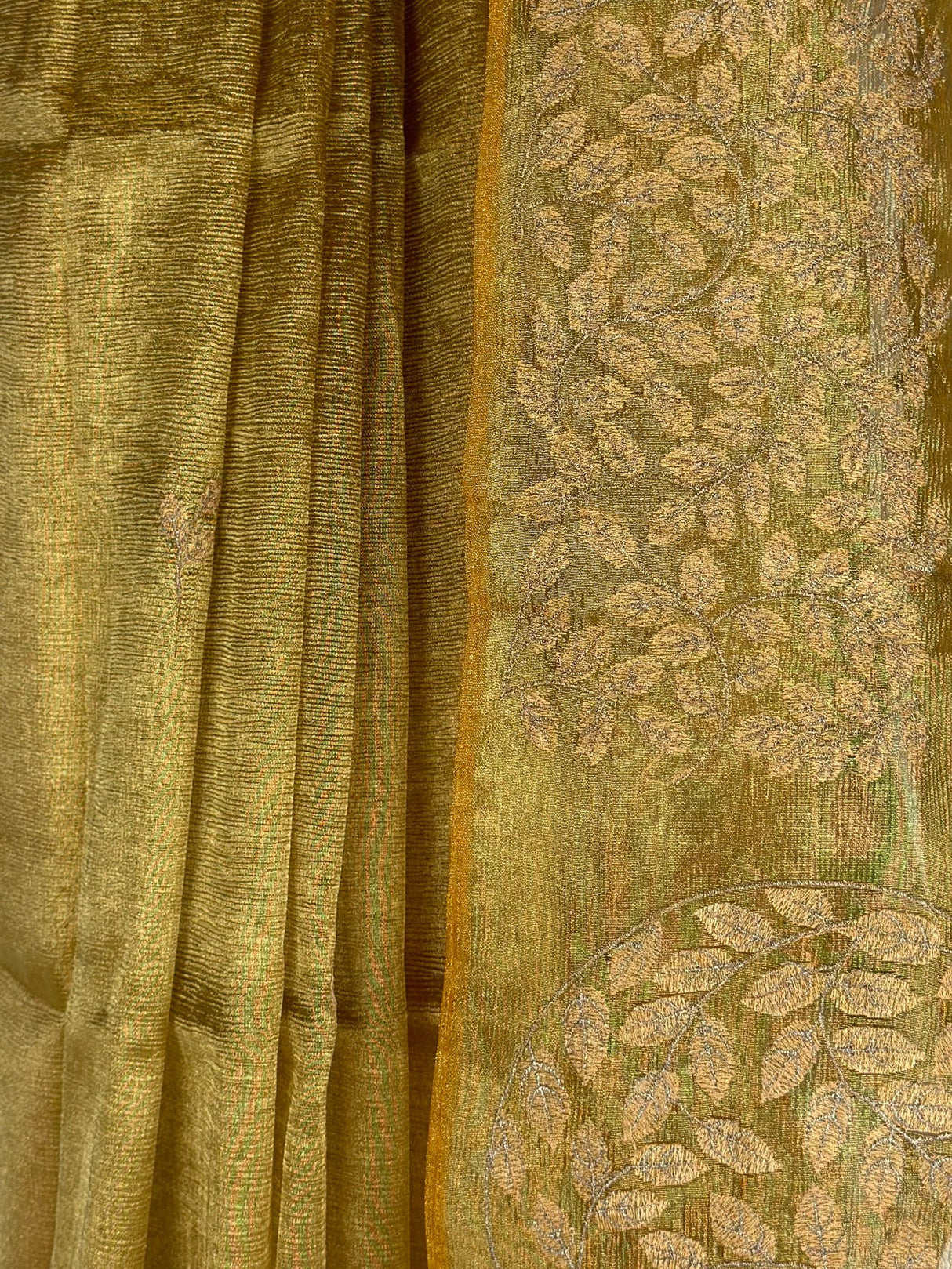 MIMOSA Saree Saree — fleets shot full lifestyle