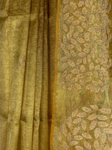 MIMOSA Saree Saree — fleets shot full lifestyle