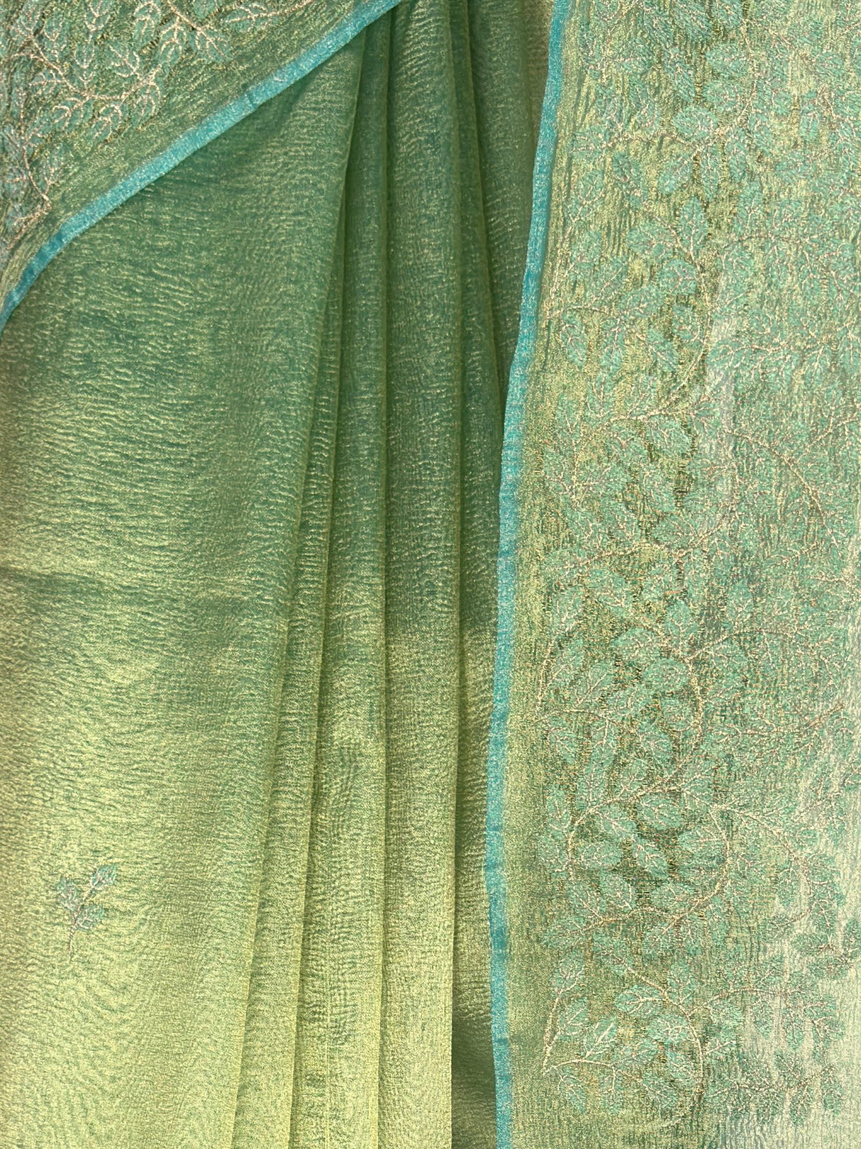 MIMOSA Saree Saree — fleets shot full lifestyle