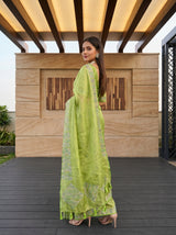 MIMOSA Olive Saree Saree — pose 7 styling detail