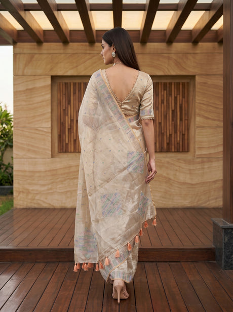 MIMOSA Peach Saree Saree — pose 2 styling detail