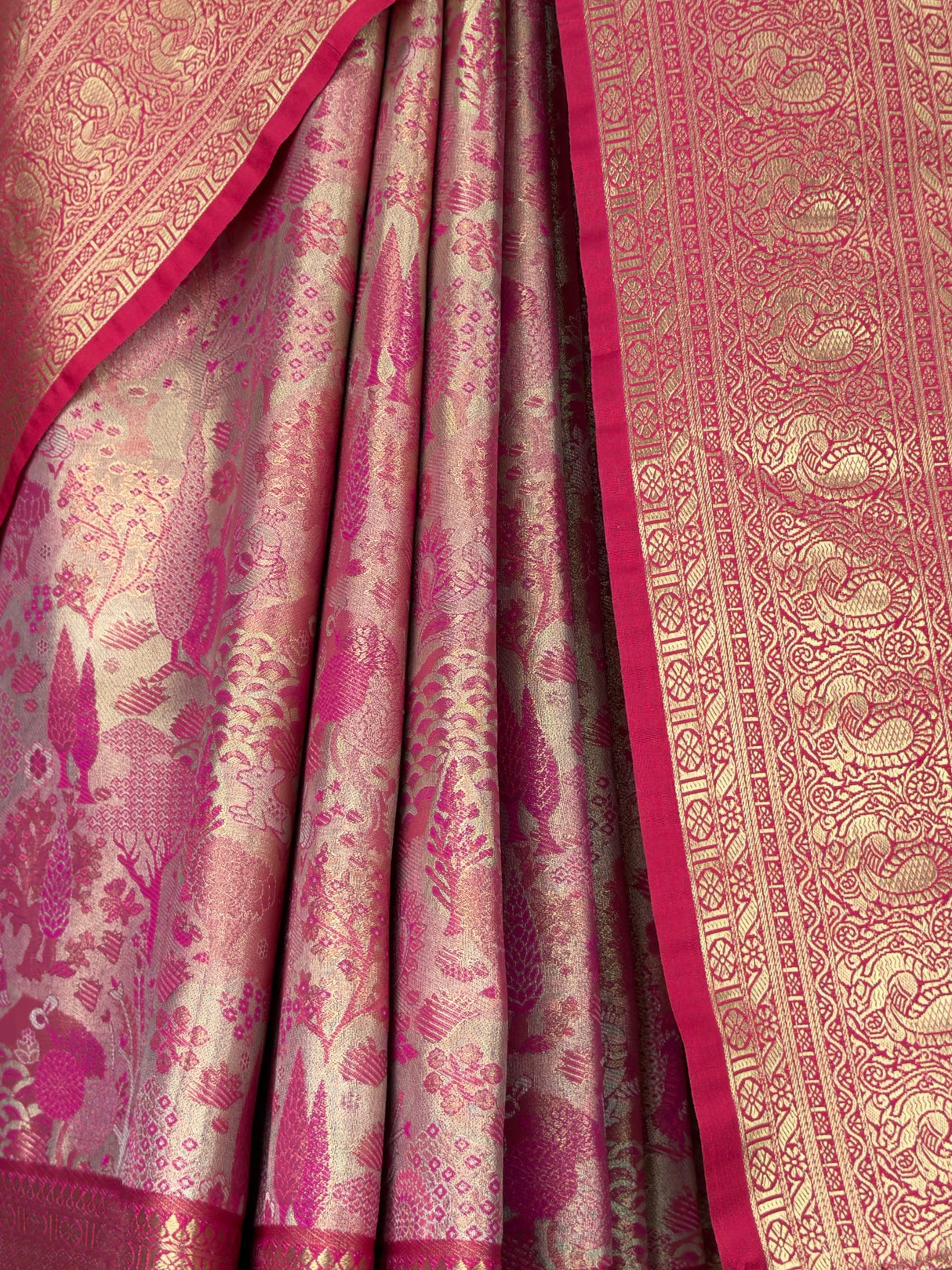 MIMOSA Saree Saree — fleets shot full lifestyle