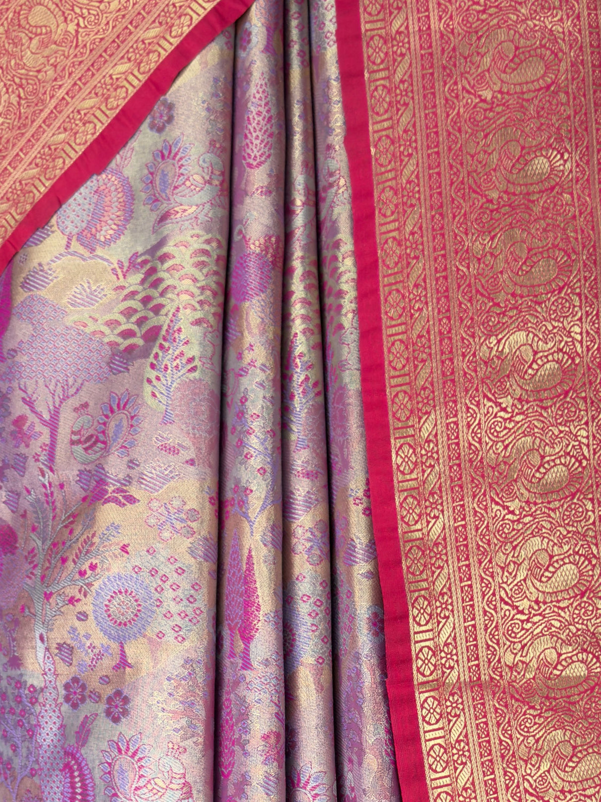 MIMOSA Saree Saree — fleets shot full lifestyle