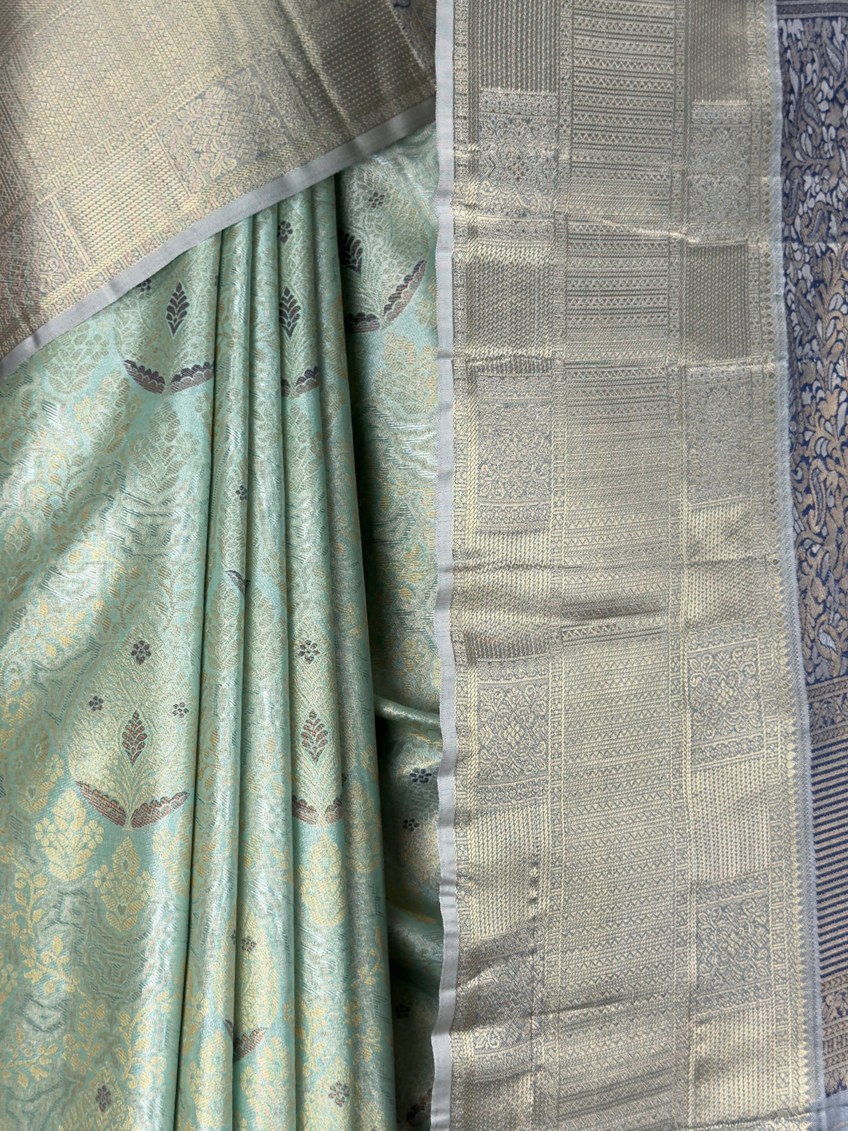 MIMOSA Saree Saree — fleets shot full lifestyle