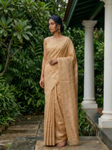 MIMOSA Chiku Banarasi Art Silk Saree — Close-up of saree pleats and feet