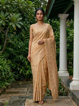 MIMOSA Chiku Banarasi Saree — pose 6 styling detail