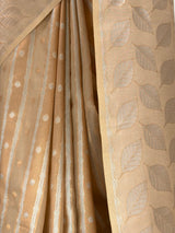 MIMOSA Chiku Banarasi Saree — fleets shot full lifestyle