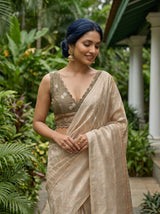 MIMOSA Grey Banarasi Saree — pose 10 styling detail