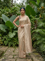 MIMOSA Grey Banarasi Art Silk Saree — Close-up of saree pallu and border