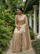 MIMOSA Grey Banarasi Saree — pose 8 styling detail