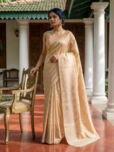 MIMOSA Tussar Banarasi Art Silk Saree — Close-up of saree pleats and feet